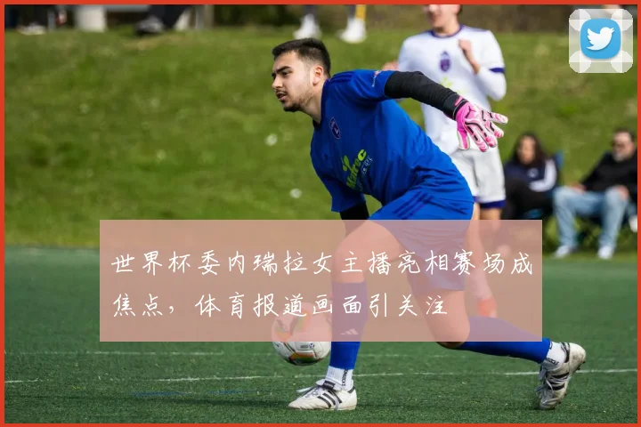 世界杯委内瑞拉女主播亮相赛场成焦点，体育报道画面引关注