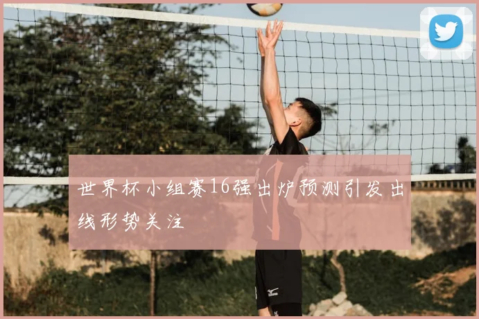 世界杯小组赛16强出炉预测引发出线形势关注