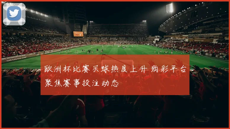 欧洲杯比赛买球热度上升 购彩平台聚焦赛事投注动态